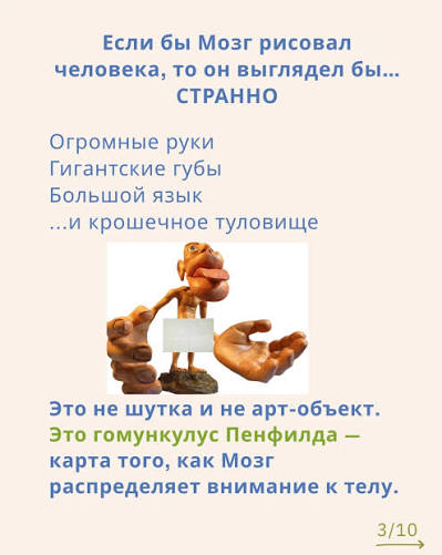 Гомункулюс Пенфилда